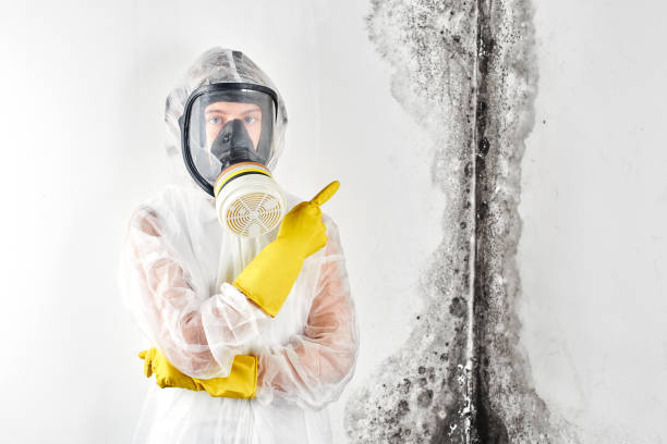 Best Commercial Mold Inspection  in Discovery Bay, CA